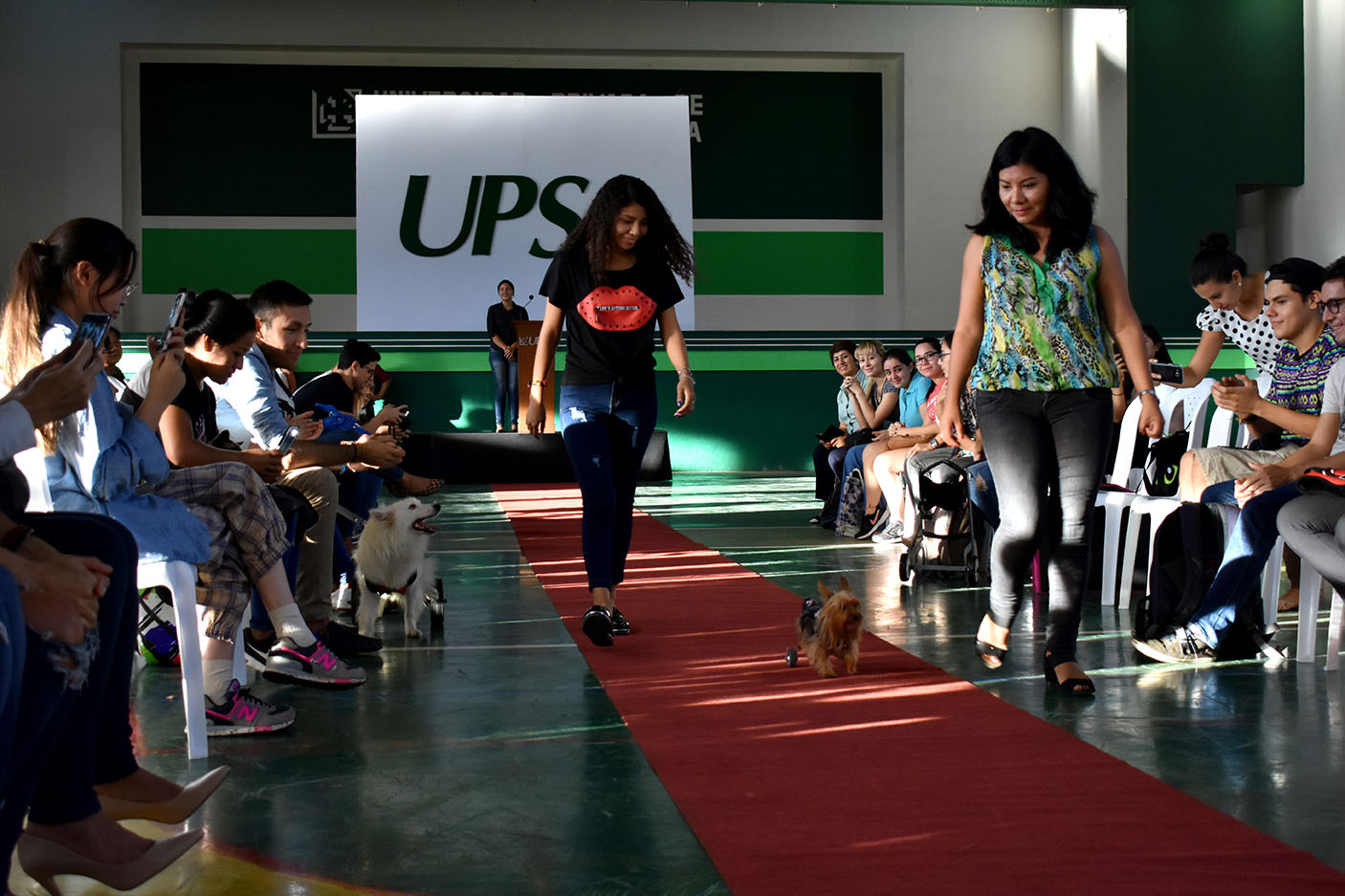 Estudiantes de Diseño Industrial fabricaron a medida sillas de rueda y prótesis para mascotas